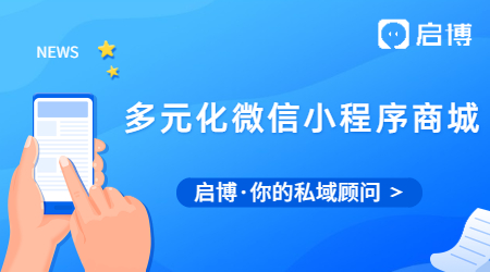 什么是多元化的微信小程序商城?有什么用？